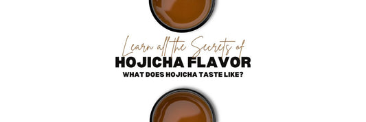Hojicha Sapore impara cosa fa Hojicha sapore come
