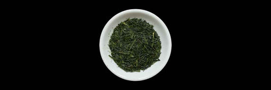 Gyokuro Pianta