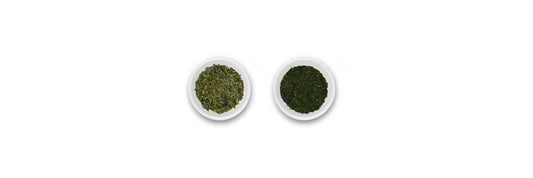 bancha contro Sencha foglie