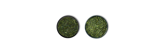 fukamushi contro Sencha