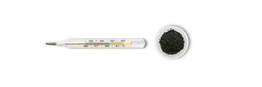 Gyokuro temperatura di infusione