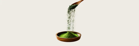 Gyokuro_Powder