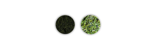 Gyokuro contro Sencha foglie