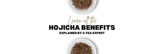 Hojicha benefici articolo completo