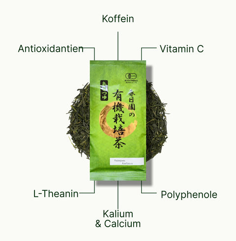 6ad63bb674302_nio-teas-sencha-kasugaen-asatsuyu-nutritional-benefits_5a13b7c2-6198-469c-ab50-b359dc13fb79_de.webp