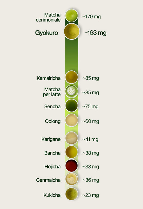 6ad760cf14e1f_caffeine_chart_gyokuro_it.webp