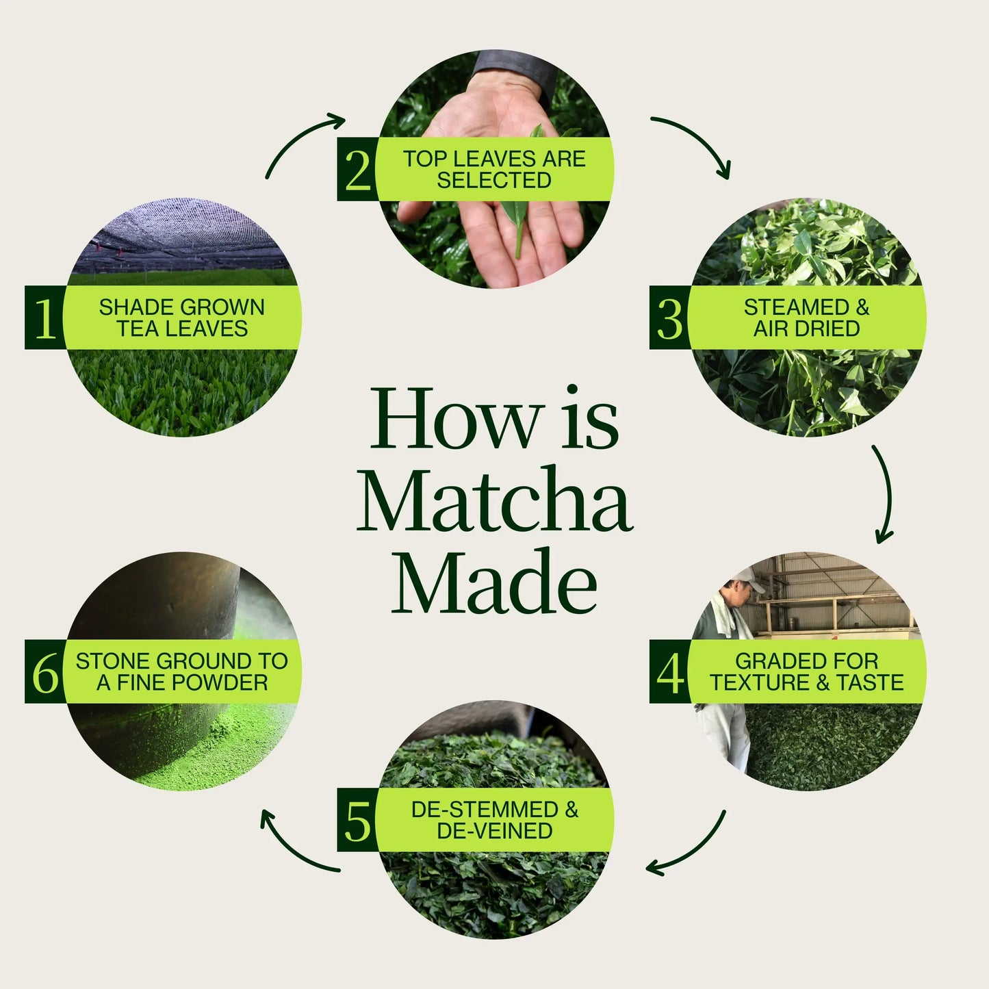 Premium-Matcha-Latte-Pulver