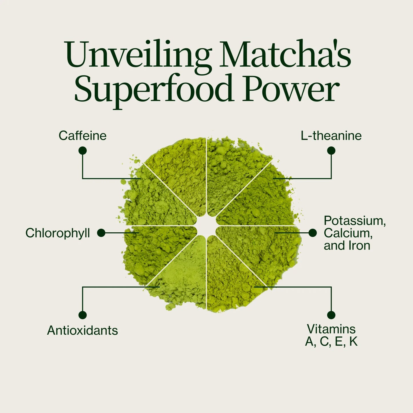 Confezione da 18 campioni di Matcha