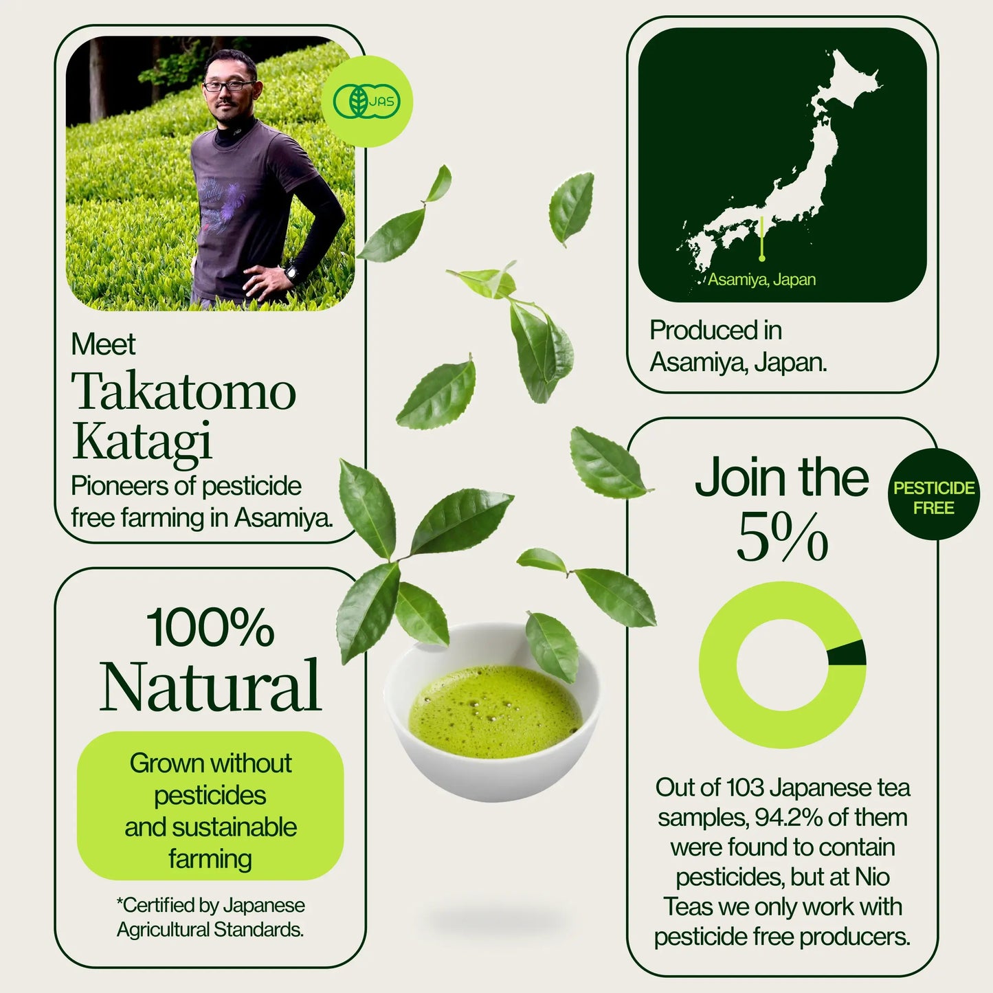 Matcha Asamiya Saemidori
