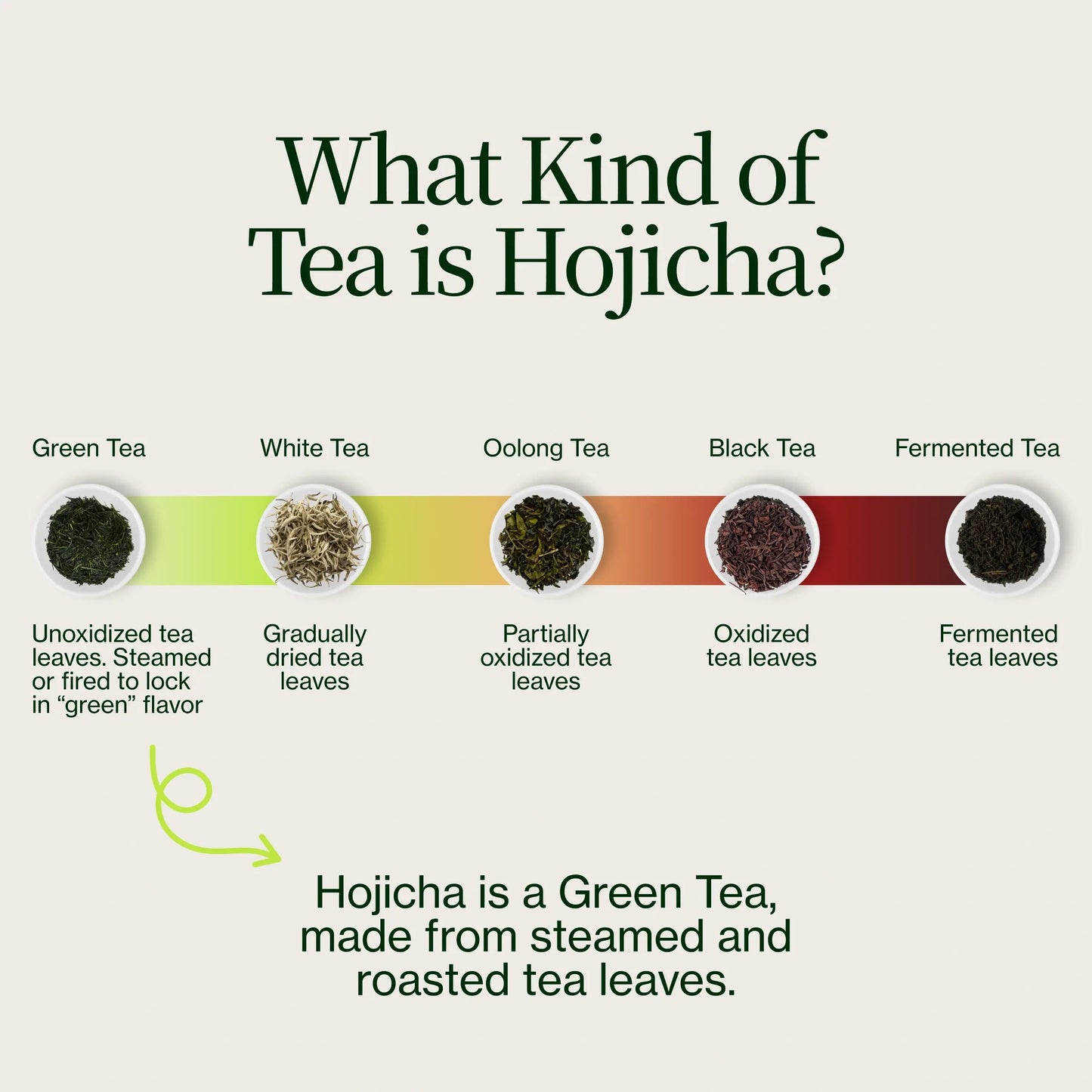 Hojicha-Pulver