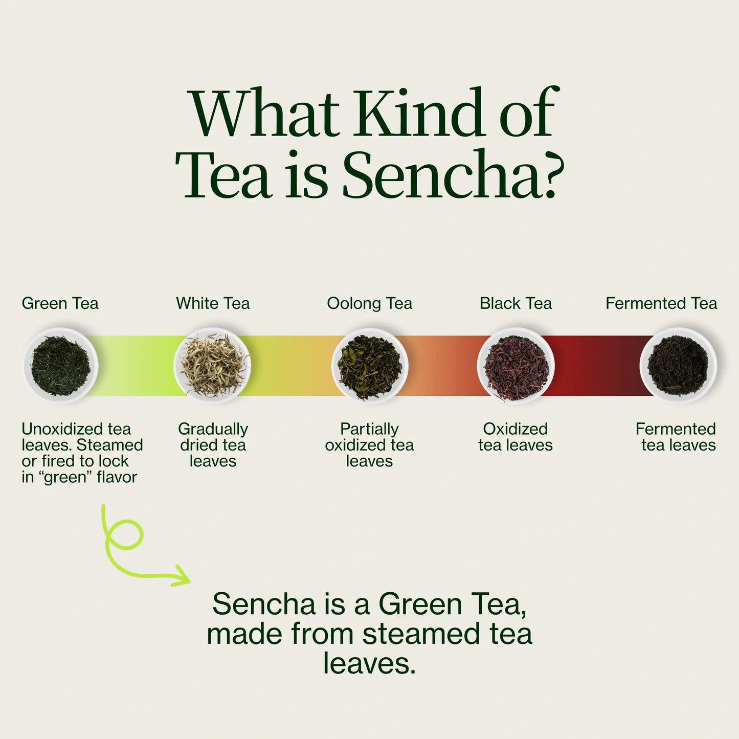 Sencha Shizuku mit Matcha-Pulver