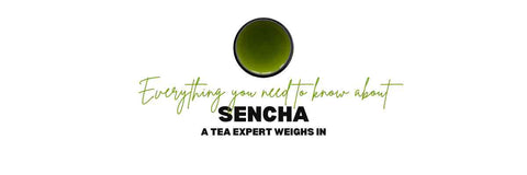 Tutto quello che devi sapere su Sencha