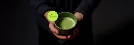 The truth about matcha l theanine - How much is there?