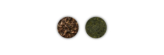 oolong contro Sencha
