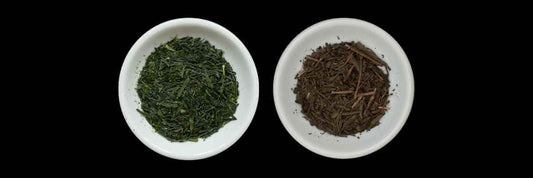 Sencha contro Hojicha