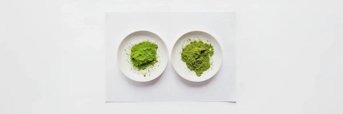 Side-by-side comparison of decaf matcha vs ceremonial matcha powder on white plates, showing differences in texture and color.