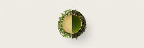 Dragonwell vs Sencha - A Battle of Steam and Fire