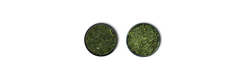 fukamushi contro Sencha