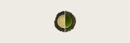 Green Tea vs Oolong Tea : What Makes them Different