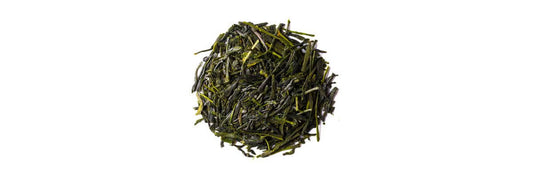 come preparare la birra Sencha