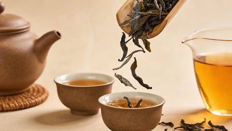 How to Make Oolong Tea Properly