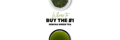 dove acquistare Sencha tè