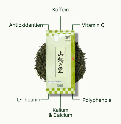 6ad63bad13cdc_nio-teas-sencha-shizuoka-yamaga-no-sato-nutritional-benefits_54f5df69-c4c4-4e27-9a0c-6b490a95922a_de.webp