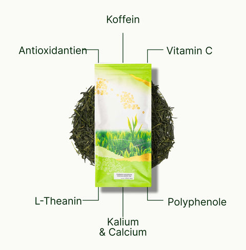6ad63bbcbfe70_nio-teas-chanoka-mountain-sencha-nutritional-benefits_714ba326-ee2a-43e5-ae54-55c0cd264a27_de.webp