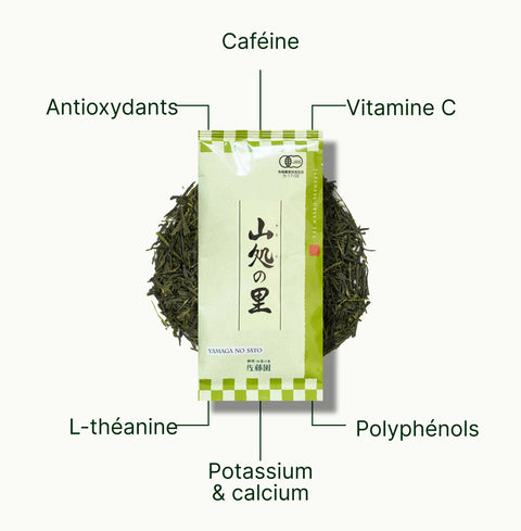 6ad63e25eacc8_nio-teas-sencha-shizuoka-yamaga-no-sato-nutritional-benefits_54f5df69-c4c4-4e27-9a0c-6b490a95922a_fr.webp