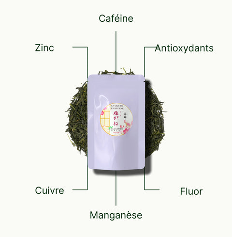 6ad63e4a81e6a_nio-teas-gyokuro-karigane-nutritional-benefits_ab1533f8-665c-44c6-89c7-3ce7f0ab364b_fr.webp