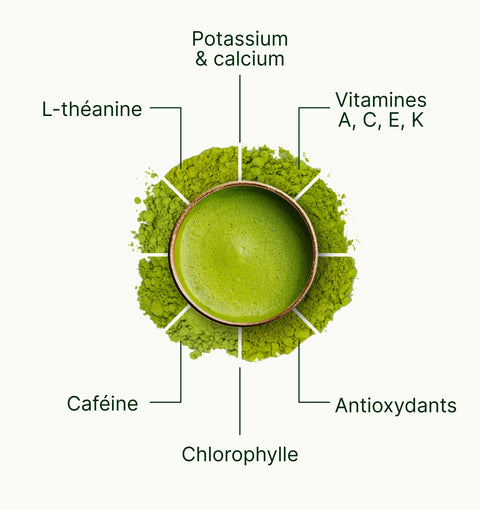6ad63eae458e1_nio_teas_matcha_superfood_fr.webp