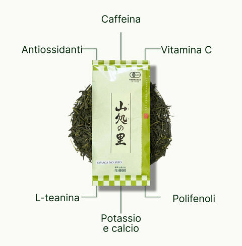 6ad7603b5cf8c_nio-teas-sencha-shizuoka-yamaga-no-sato-nutritional-benefits_54f5df69-c4c4-4e27-9a0c-6b490a95922a_it.webp