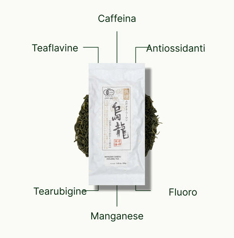 6ad7605d88a10_nio-teas-miyazaki-high-mountain-oolong-tea-nutritional-benefits_44321db2-d7d1-4da9-a0b3-9d985934f32b_it.webp