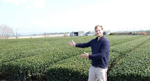 Will Klingner in a navy blue long-sleeve shirt and beige pants stands in a vast green tea plantation field, gesturing towards the rows of tea bushes under a bright sky.