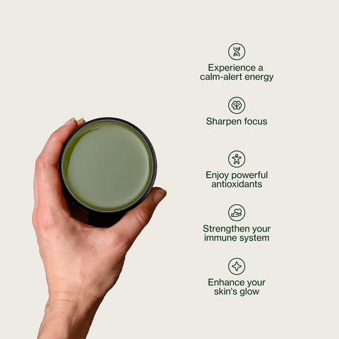 Shincha Shizuku Chiran 2026 con Polvere di matcha
