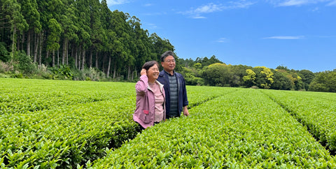 Fujiwara, Nio Teas partner tea farmer on Yakushima, Japan