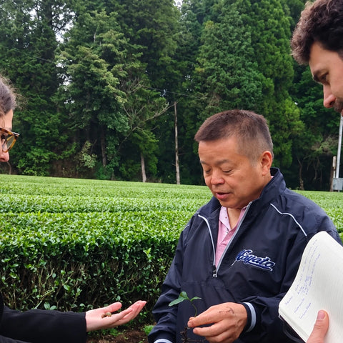 Henta farmer in a navy blue zip-up jacket stands outdoors in a lush green tea plantation, holding a small seedling.