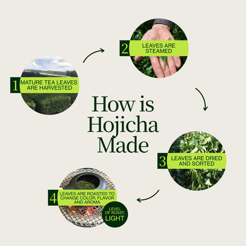 Thé vert Hojicha torréfié Noike