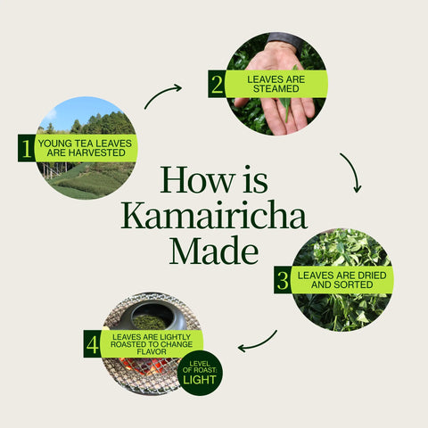 Chanoka Kamairicha Thé vert en vrac