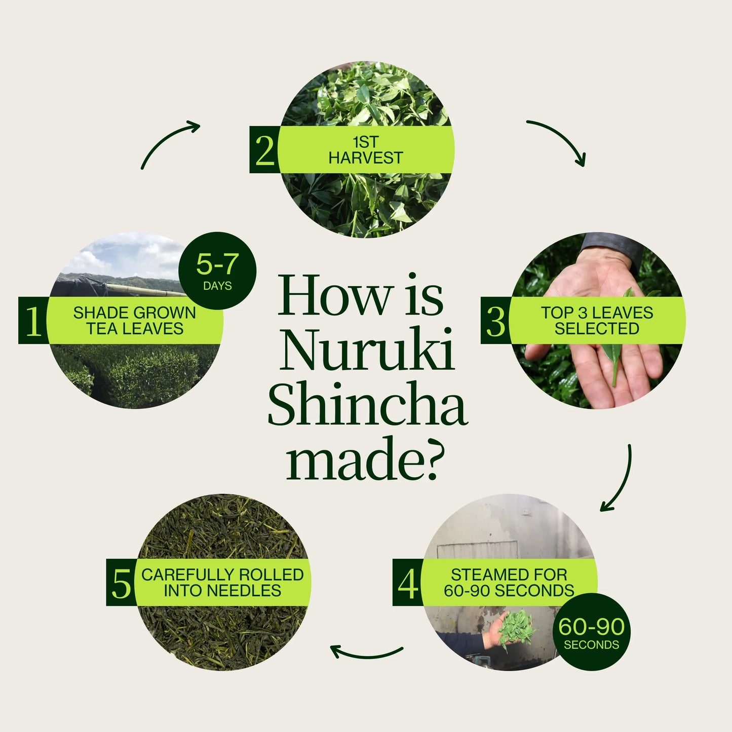 Nuruki Chiran Shincha
