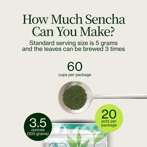 Sencha Shizuku con Polvere di matcha