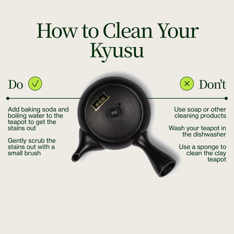 Tokoname Kyusu Fukamushi