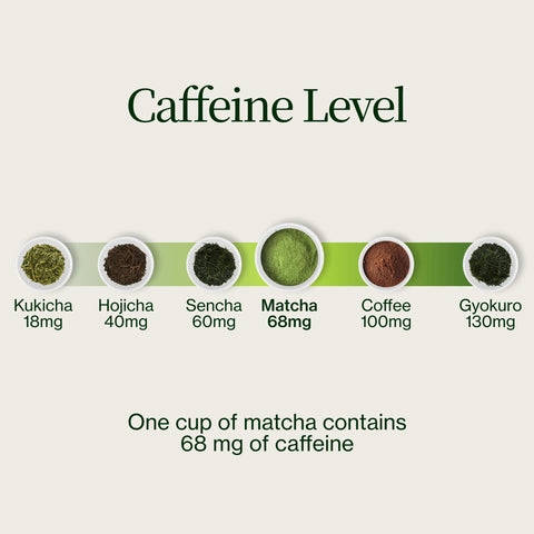 Matcha Yame Okumidori Miyako
