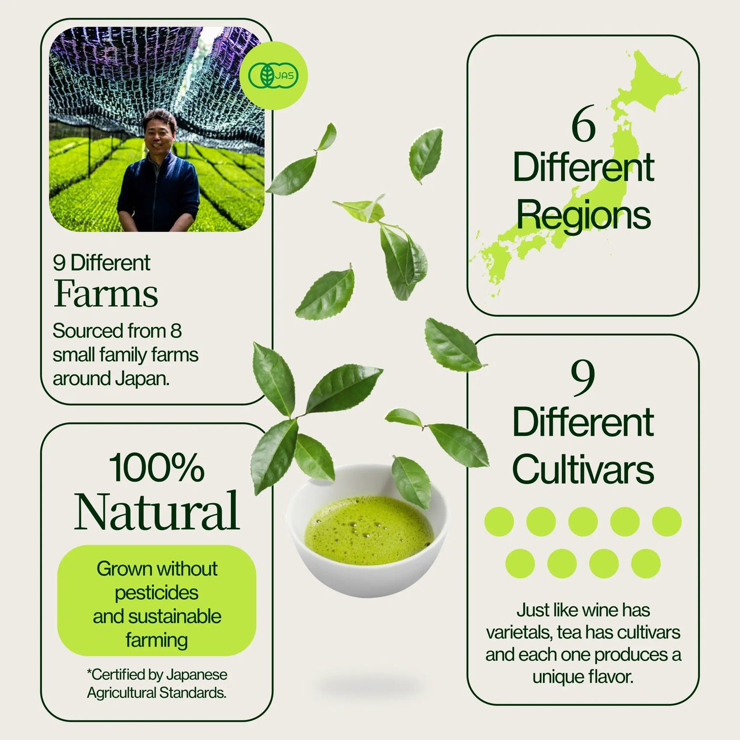 Calendario dell’Avvento Matcha 2025 con frustino, chawan e chashaku