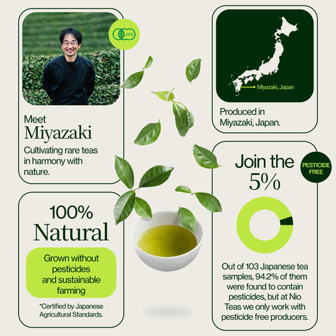 Thé Oolong des Hautes Montagnes Miyazaki
