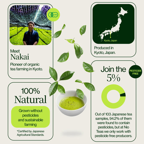 Zeremonieller Washimine Matcha -Tee