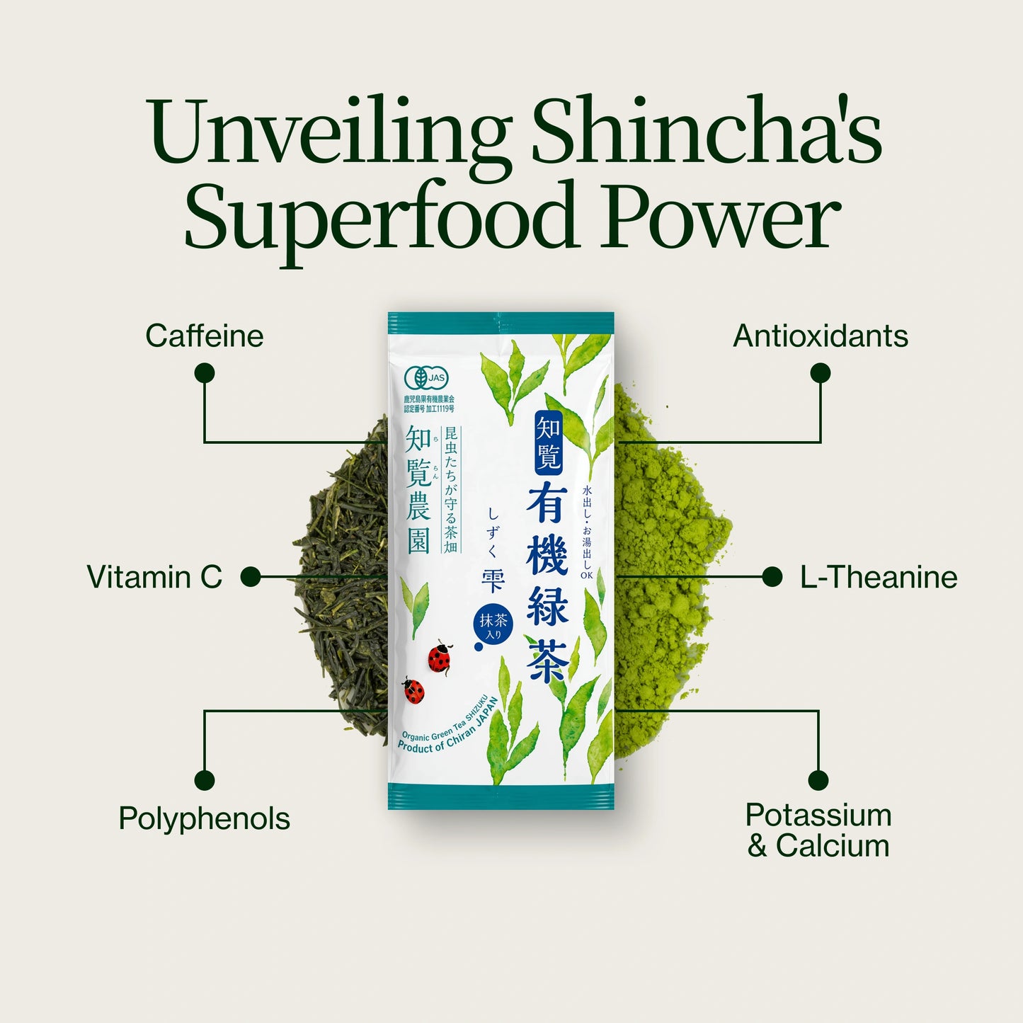 Shincha Shizuku Chiran 2026 con Polvere di matcha