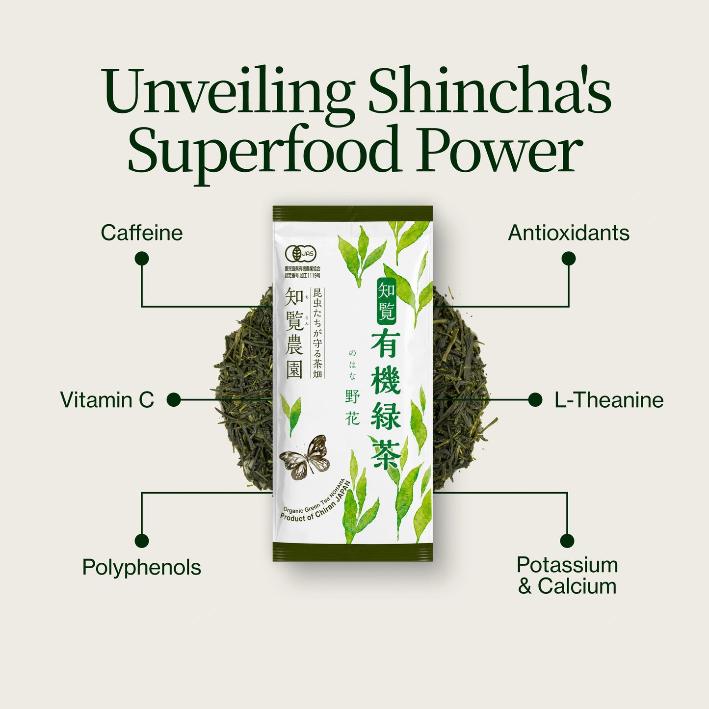 Shincha Nohana Chiran 2026