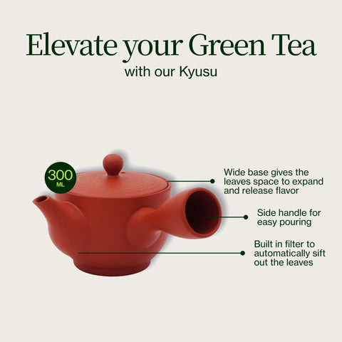 Tokoname Kyusu rouge