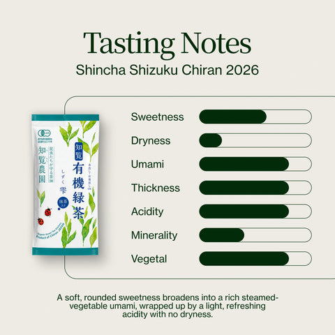 Shincha Shizuku Chiran 2026 mit Matcha-Pulver